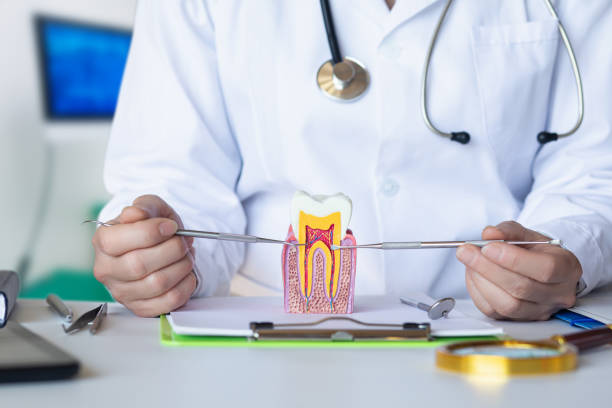 Best Dentist for Tooth Abscess  in Waverly, MI